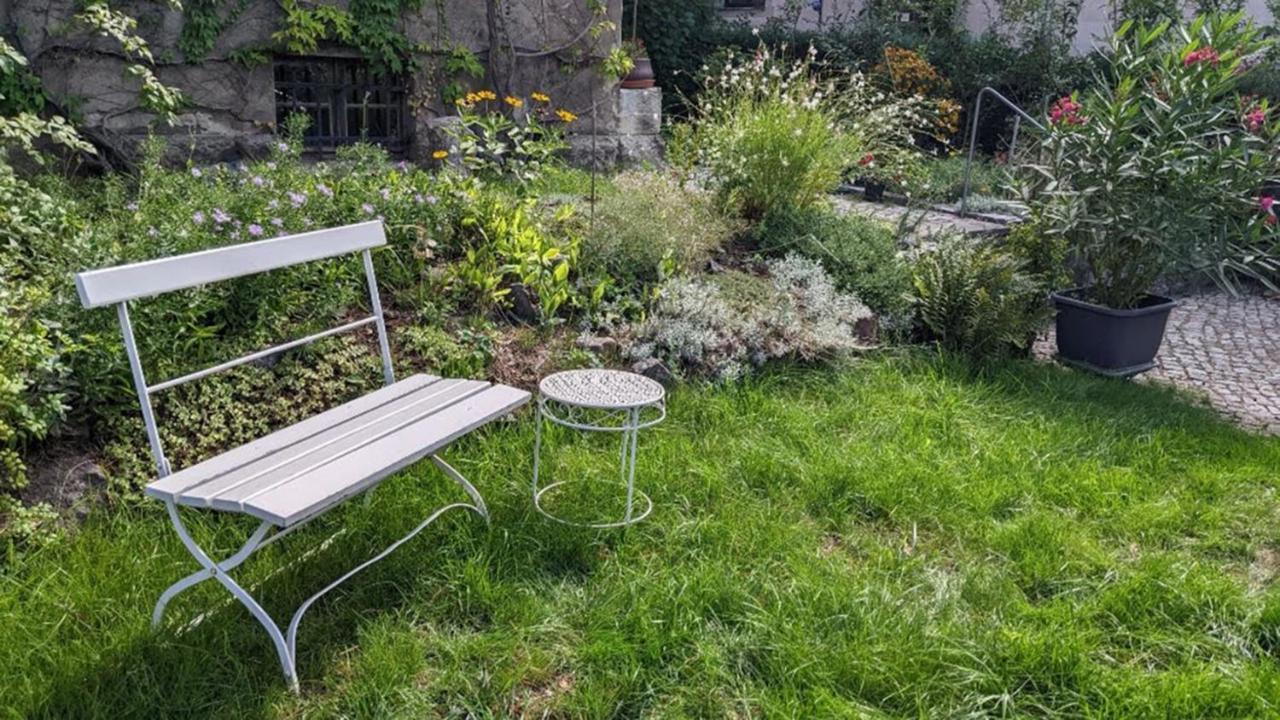 Apartment Striesener Idylle, Ruhig Und Gruen In Elbnaehe Dresden